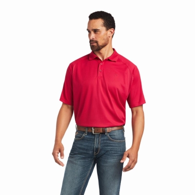 Men's Ariat AC Polo Shirts Pink | GB4618OUA