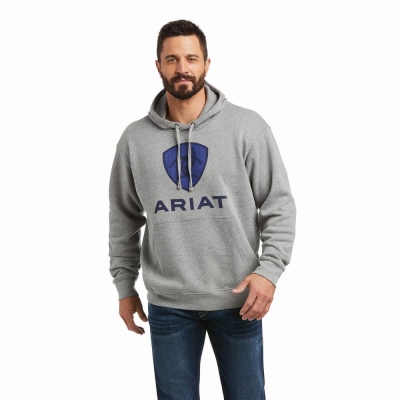 Men's Ariat Basic Hoodies Deep Blue | GB4832KTW