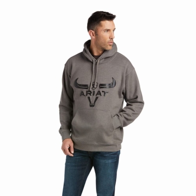 Men's Ariat Basic Hoodies Grey | GB4058QWT