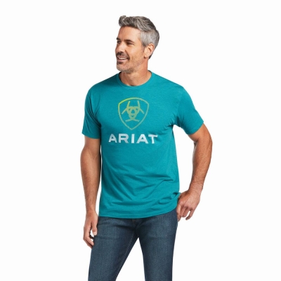 Men's Ariat Blends Polo Shirts Dark Turquoise | GB2976PSU