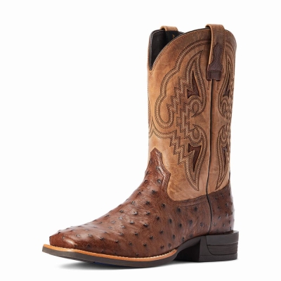 Men's Ariat Dagger Western Boots Multicolor | GB8736LUM