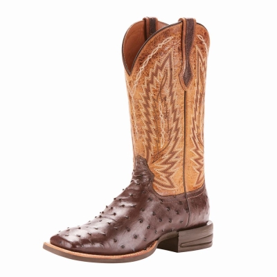 Men's Ariat Relentless Platinum Western Boots Multicolor | GB9418ODW