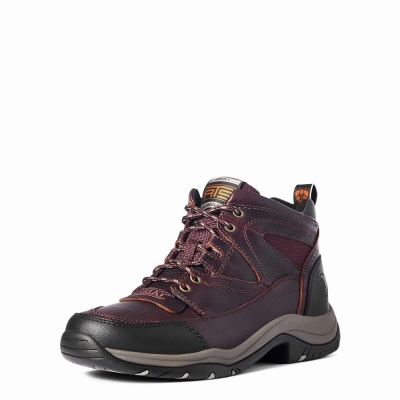 Men's Ariat Terrain Hiking Boots Dark Brown | GB0934BQT