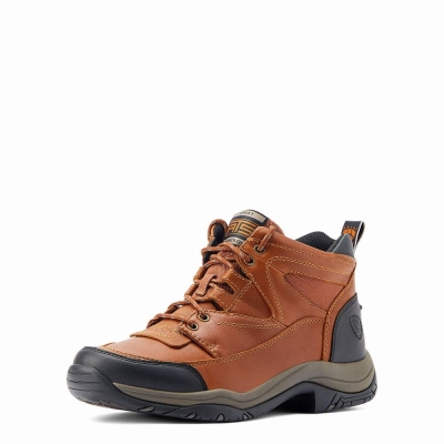 Men's Ariat Terrain Hiking Boots Multicolor | GB2186HRD