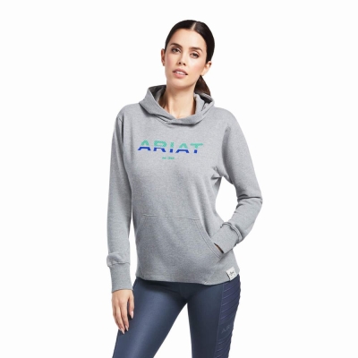 Women's Ariat 3D Logo 2.0 Hoodies Grey | GB0267IPT