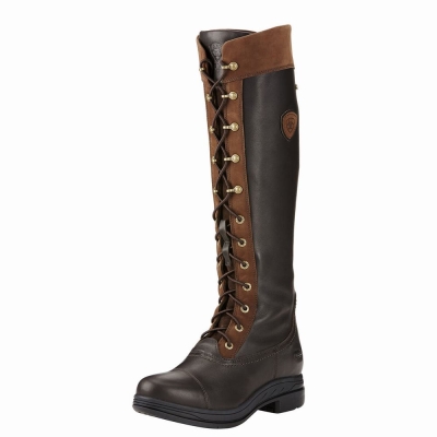 Women's Ariat Coniston Pro GORE-TEX Insulated English Riding Boots Multicolor | GB7458BAI