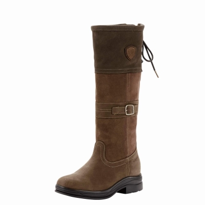 Women's Ariat Langdale Waterproof English Riding Boots Multicolor | GB3298INB