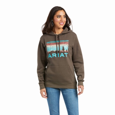 Women's Ariat REAL Arm Logo Hoodies Brown | GB7146KEN