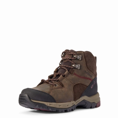 Women's Ariat Skyline Mid Waterproof Hiking Boots Dark Brown | GB2379TEW