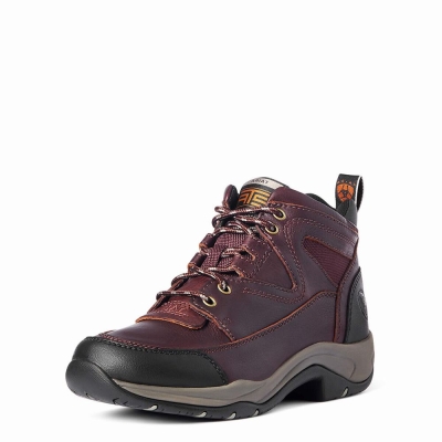 Women's Ariat Terrain Hiking Boots Dark Brown | GB1976EZA