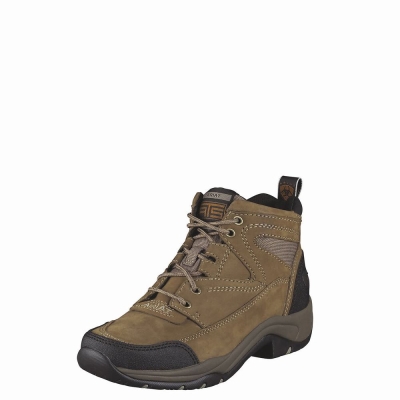 Women's Ariat Terrain Hiking Boots Grey Brown | GB0142YIU