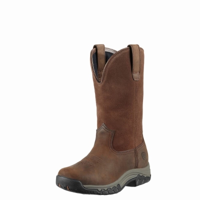 Women's Ariat Terrain Pull On Waterproof English Riding Boots Brown | GB6473KMO