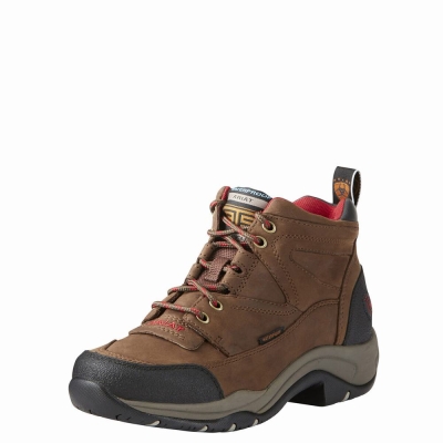 Women's Ariat Terrain Waterproof Hiking Boots Brown | GB9714KWT