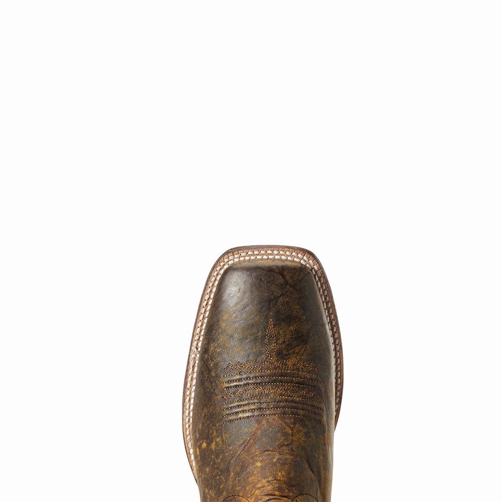 Men's Ariat Circuit Champ Western Boots Multicolor | GB1736IUM