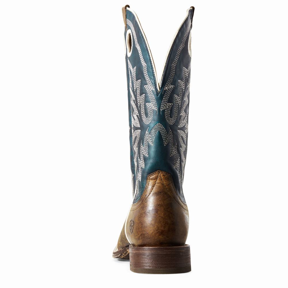 Men's Ariat Circuit Champ Western Boots Multicolor | GB1736IUM