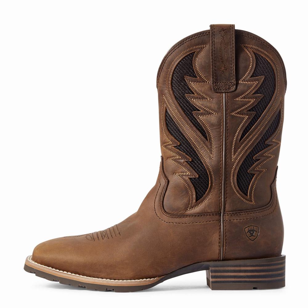 Men's Ariat Hybrid VentTEK Western Boots Brown | GB8493ZLH