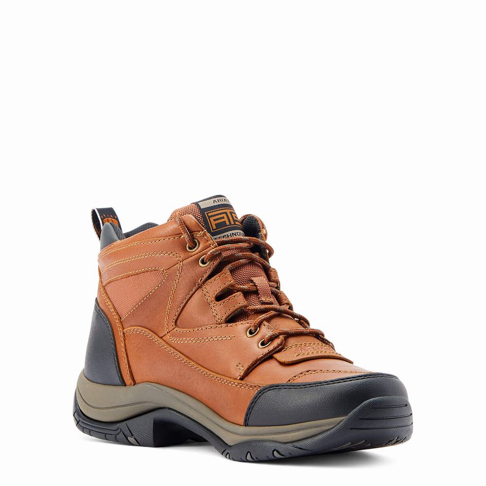 Men's Ariat Terrain Hiking Boots Multicolor | GB2186HRD