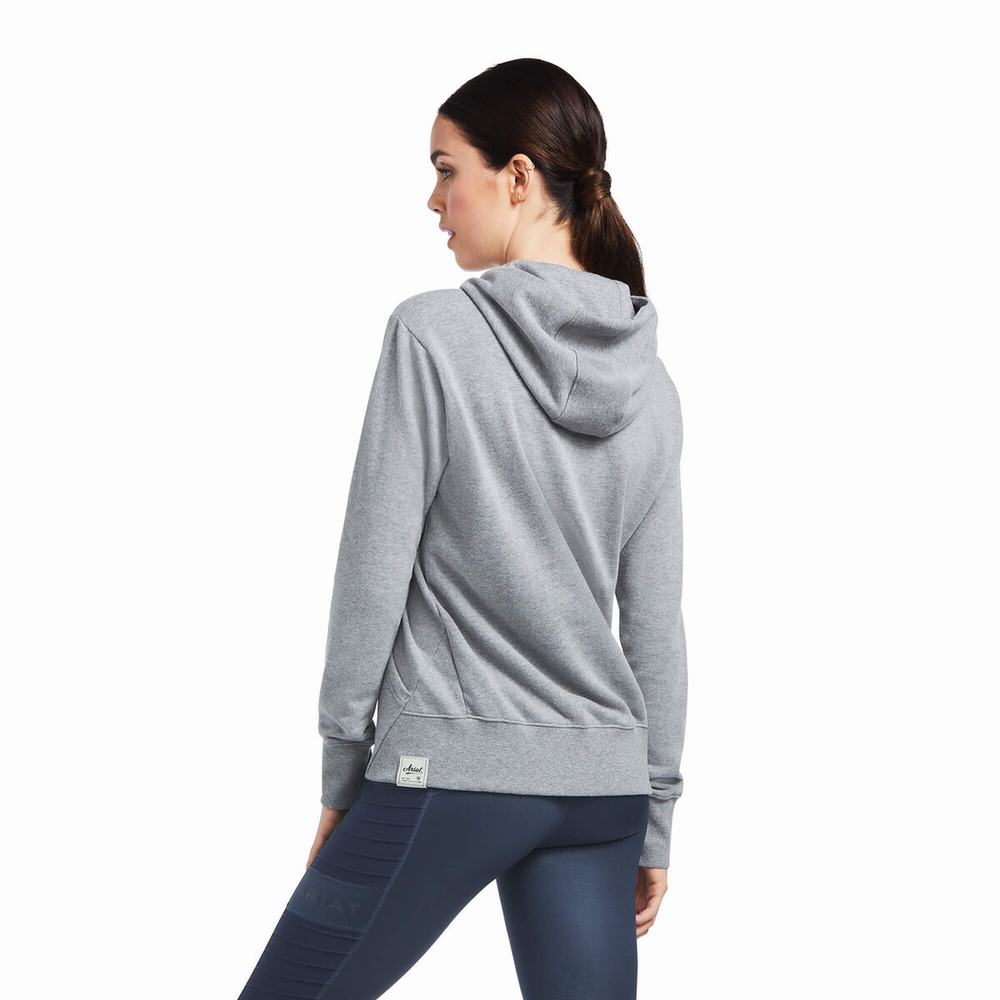 Women's Ariat 3D Logo 2.0 Hoodies Grey | GB0267IPT