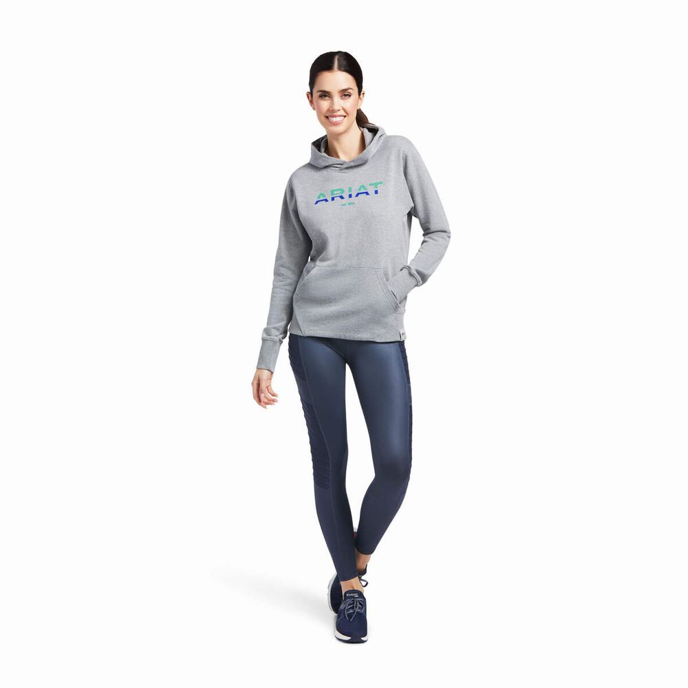 Women's Ariat 3D Logo 2.0 Hoodies Grey | GB0267IPT