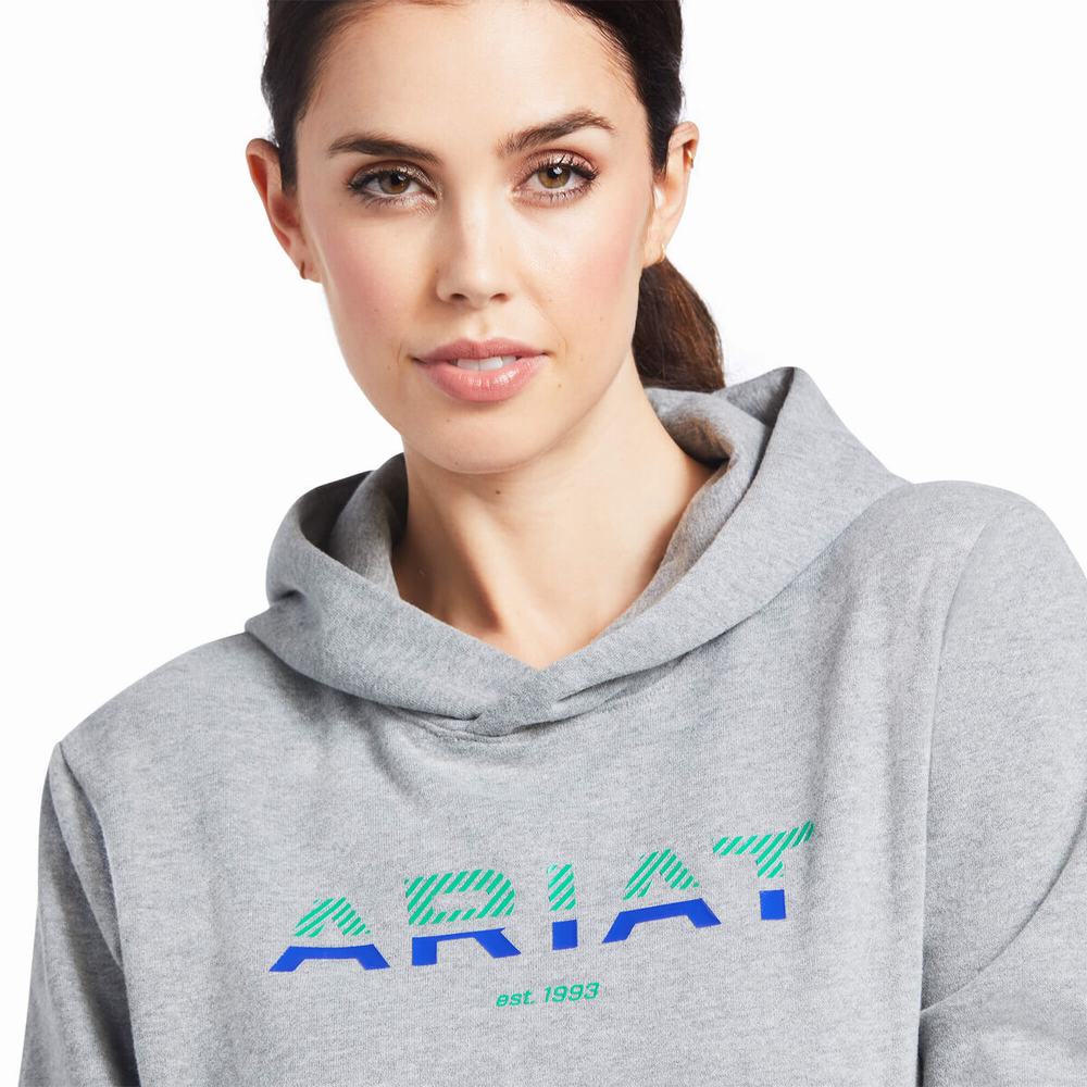 Women's Ariat 3D Logo 2.0 Hoodies Grey | GB0267IPT