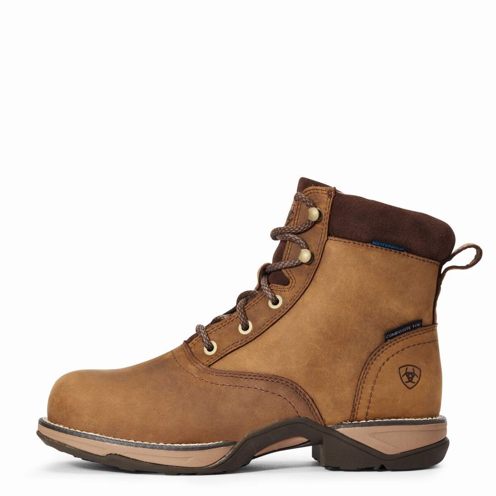 Women's Ariat Anthem Round Toe Lacer Waterproof Composite Toe Work Boots Brown | GB9764WVH