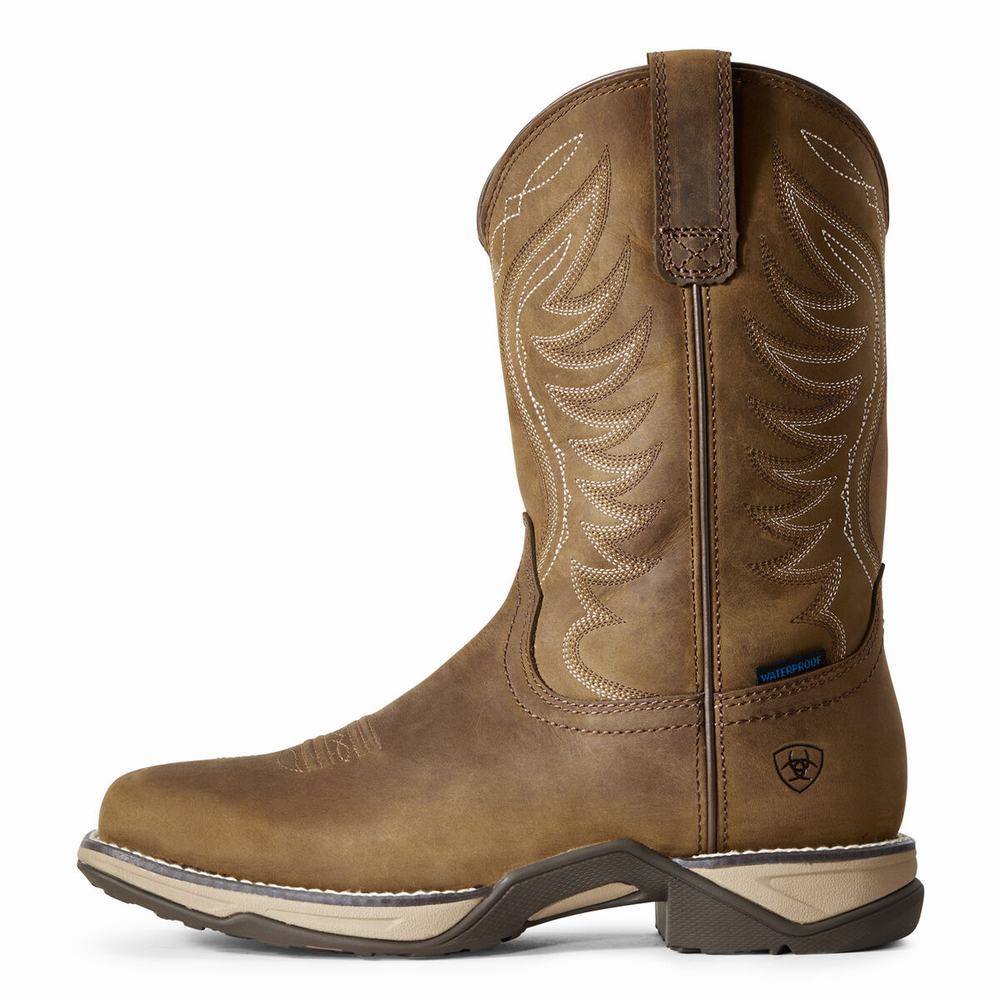 Women's Ariat Anthem Waterproof Western Boots Brown | GB7413TEO