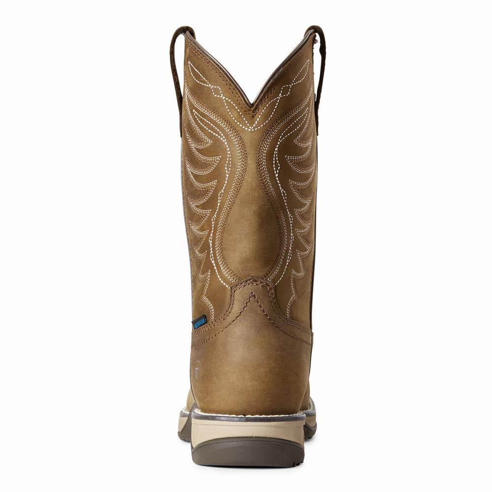 Women's Ariat Anthem Waterproof Western Boots Brown | GB7413TEO