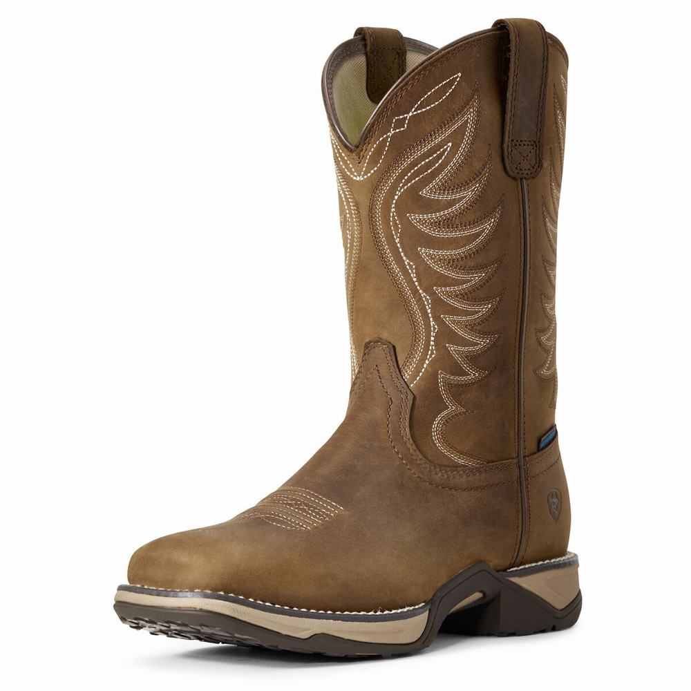 Women\'s Ariat Anthem Waterproof Western Boots Brown | GB7413TEO