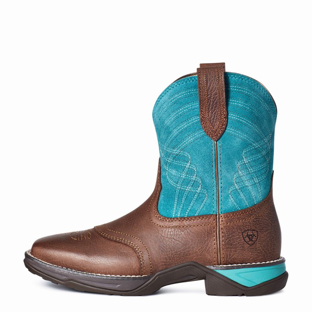 Women's Ariat Anthem Western Boots Multicolor | GB2983GBA