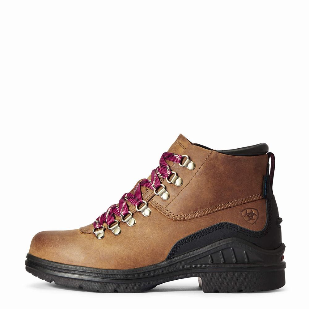 Women's Ariat Barnyard Lace Waterproof Hiking Boots Brown | GB4013NVS