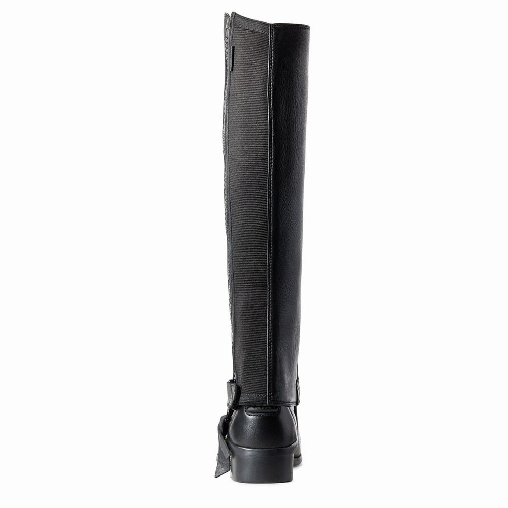 Women's Ariat Breeze Chap Half Chap English Riding Boots Black | GB4519BXV