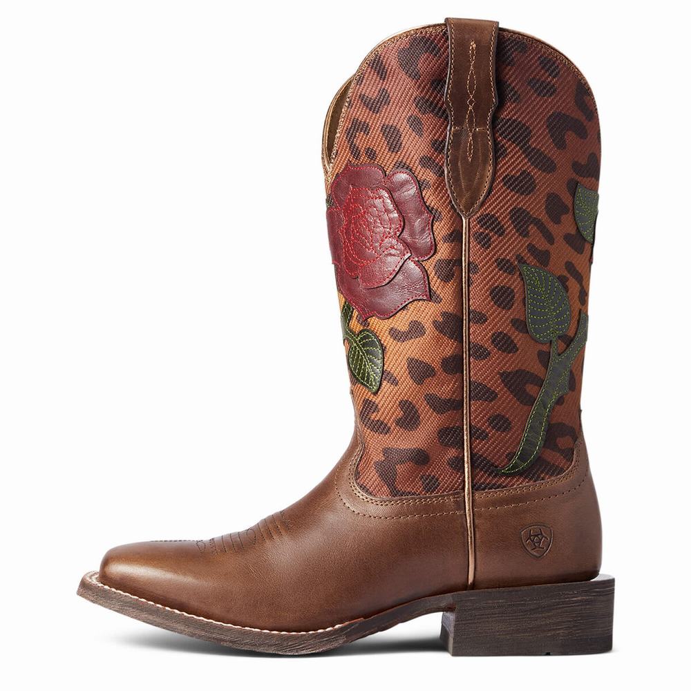 Women's Ariat Circuit Rosa Dress Boots Multicolor | GB9864GEF