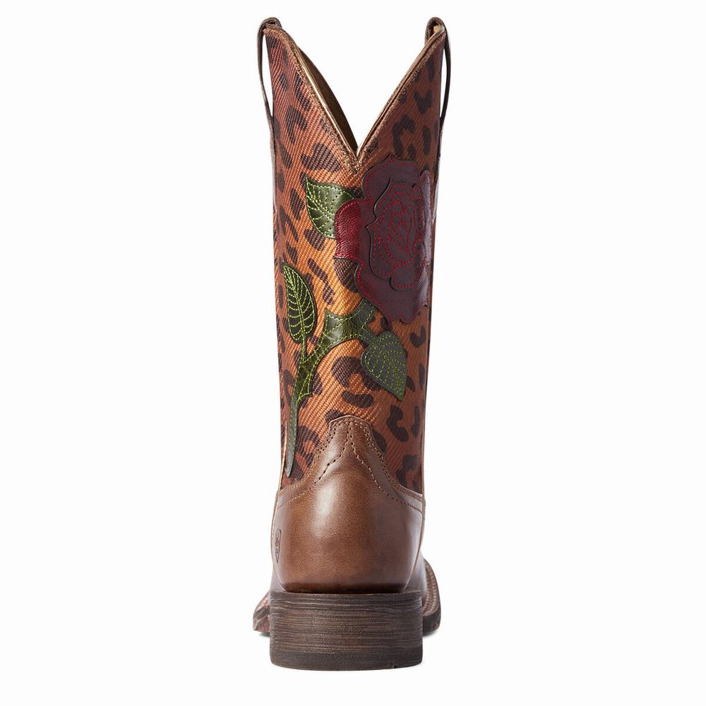 Women's Ariat Circuit Rosa Dress Boots Multicolor | GB9864GEF