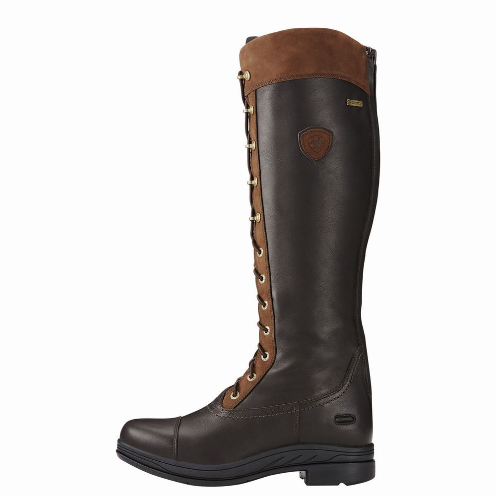 Women's Ariat Coniston Pro GORE-TEX Insulated English Riding Boots Multicolor | GB7458BAI