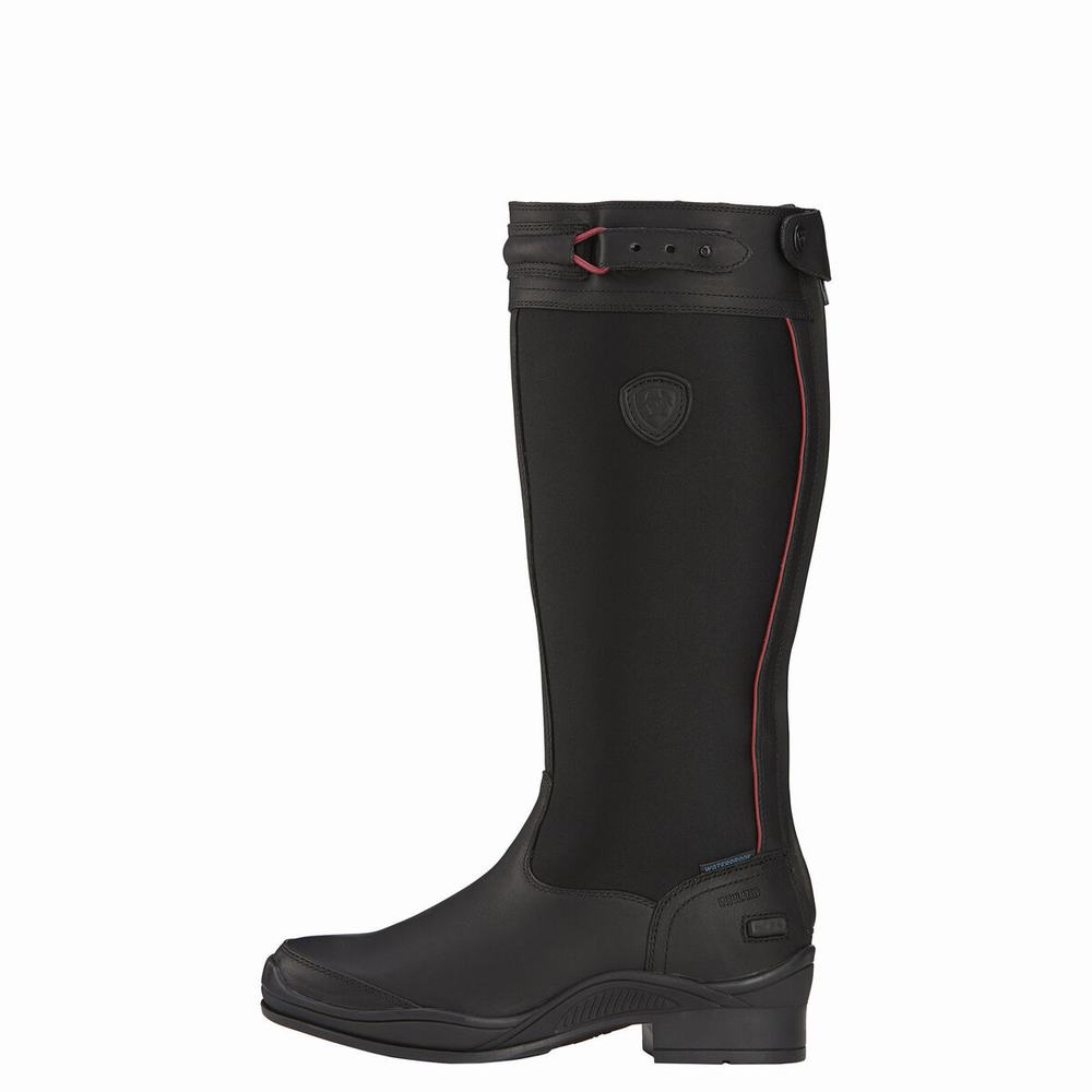 Women's Ariat Extreme Tall Waterproof Insulated Tall Riding Waterproof Boots Black | GB4935BPZ