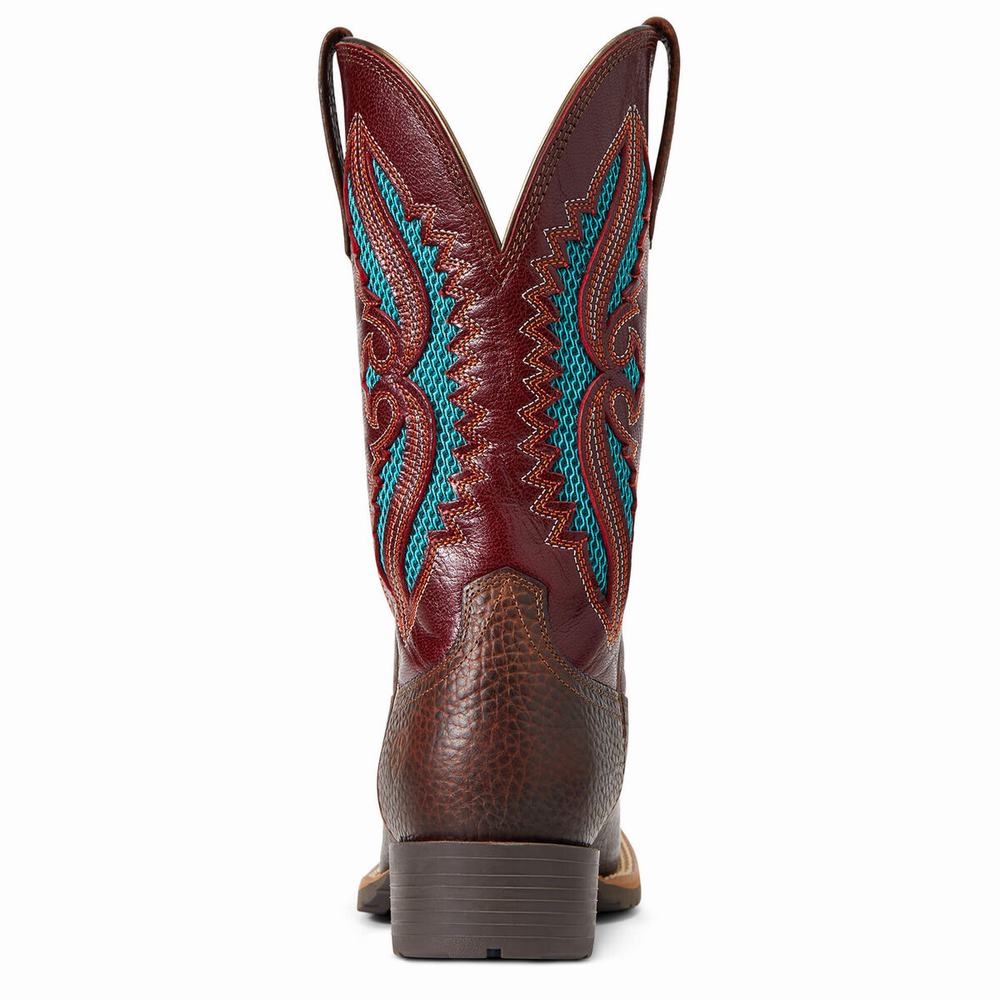 Women's Ariat Hybrid Rancher VentTek 360 Western Boots Brown | GB5462QHO