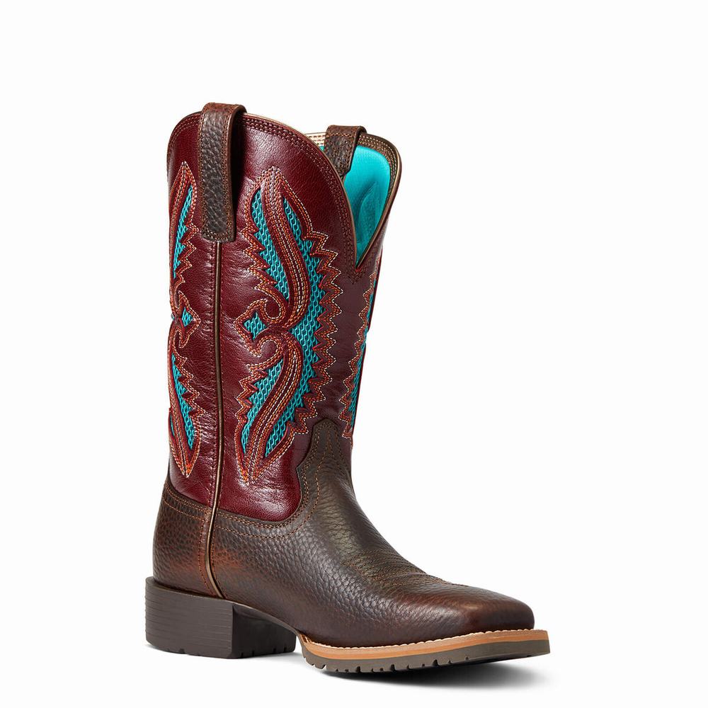 Women's Ariat Hybrid Rancher VentTek 360 Western Boots Brown | GB5462QHO