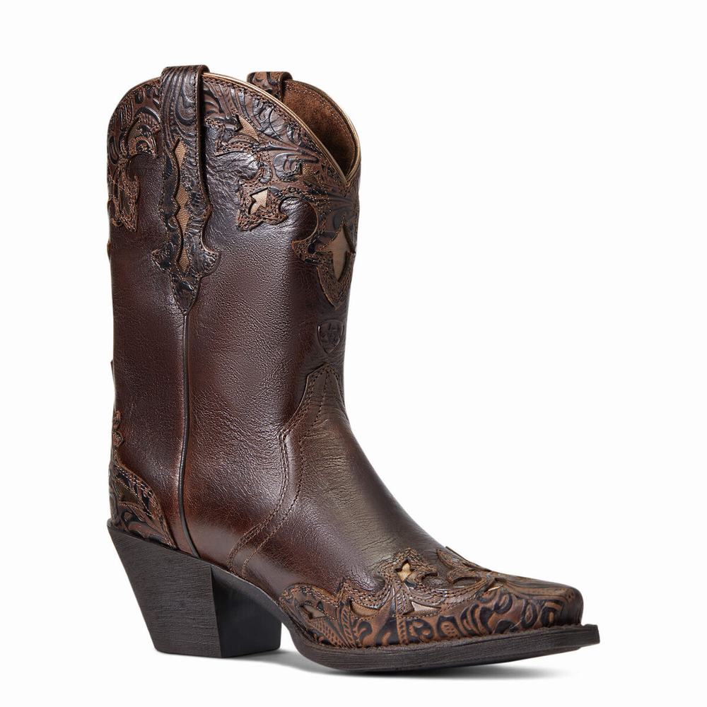 Women's Ariat Patsy Dress Boots Multicolor | GB4281YES