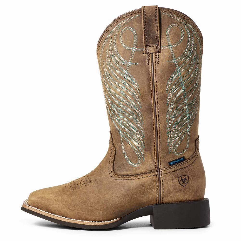 Women's Ariat Round Up Wide Square Toe Waterproof Waterproof Boots Brown | GB1638OLE