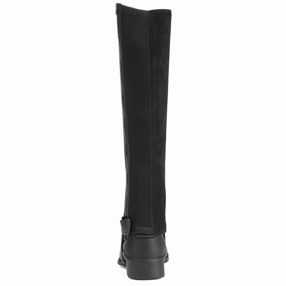 Women's Ariat Scout Chap Half Chap English Riding Boots Black | GB9715GOQ