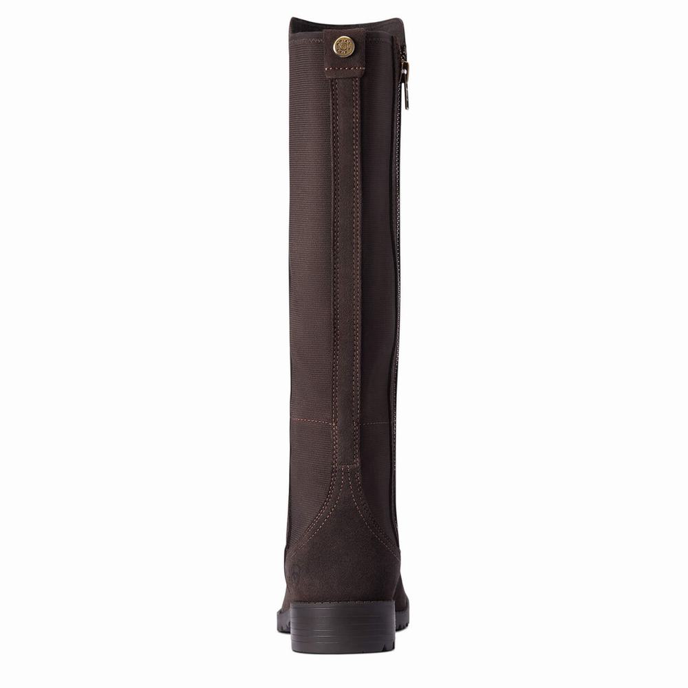 Women's Ariat Sutton II Waterproof Dress Boots Chocolate | GB8123ZEK