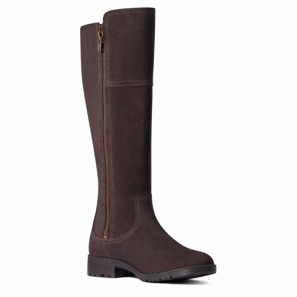 Women's Ariat Sutton II Waterproof Dress Boots Chocolate | GB8123ZEK