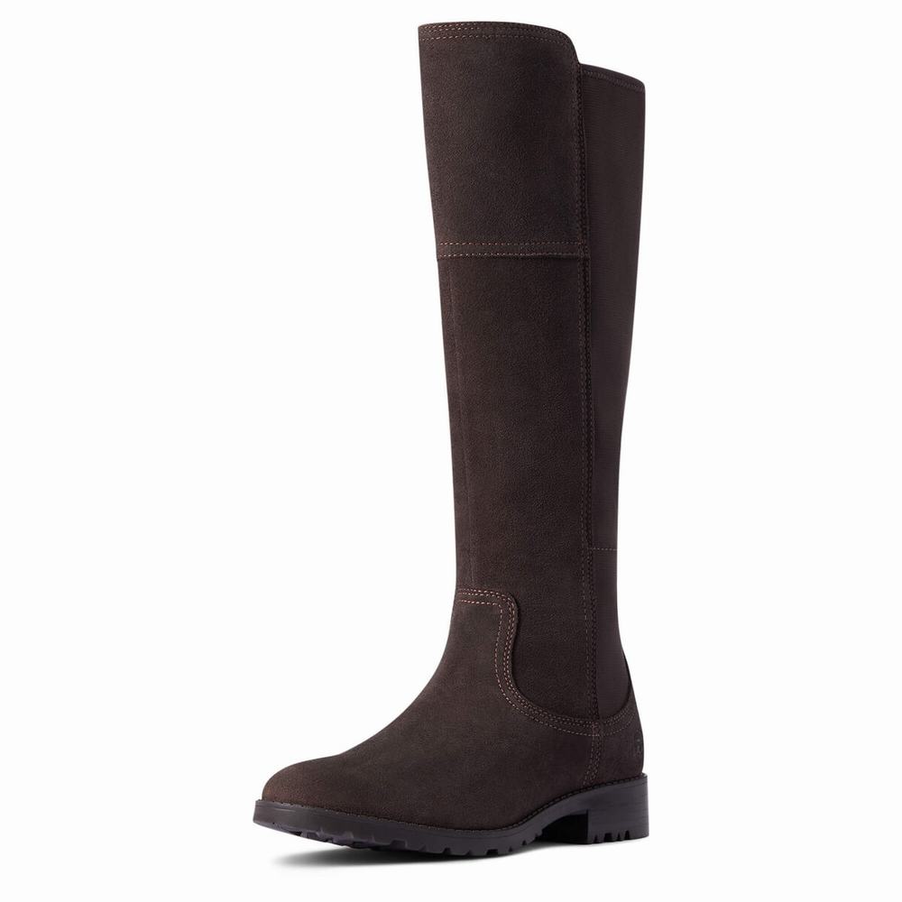 Women\'s Ariat Sutton II Waterproof Dress Boots Chocolate | GB8123ZEK