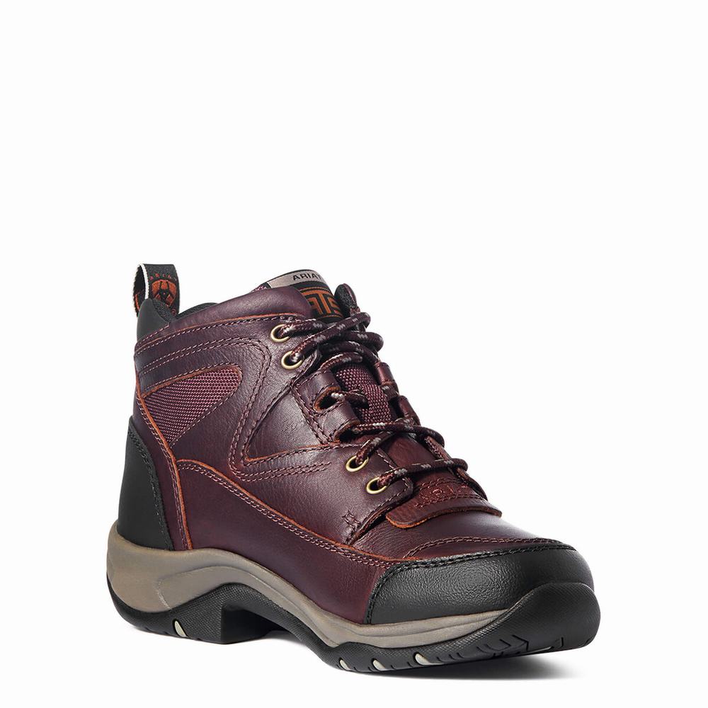 Women's Ariat Terrain Hiking Boots Dark Brown | GB1976EZA