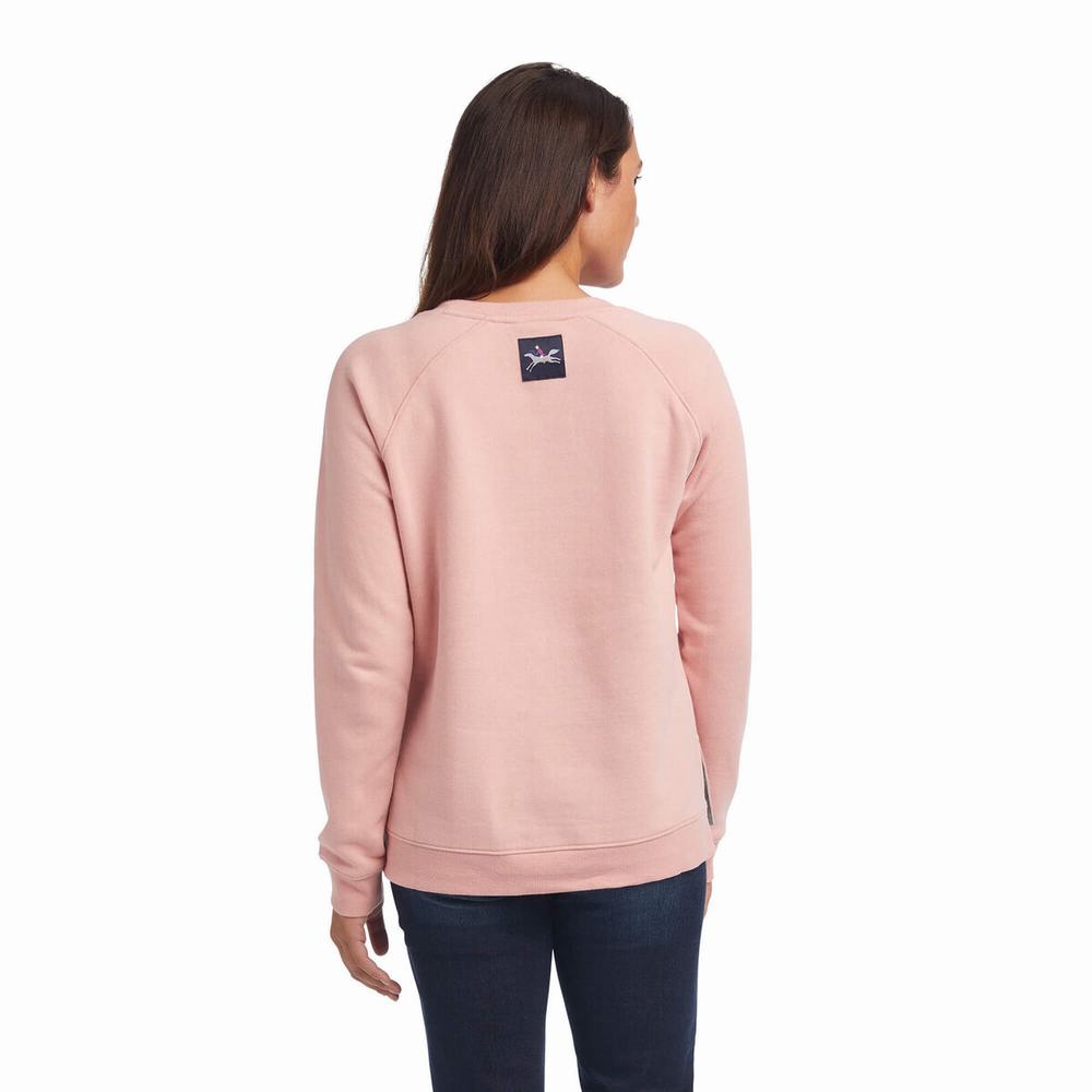 Women's Ariat Torrey Hoodies Pink | GB9154LED