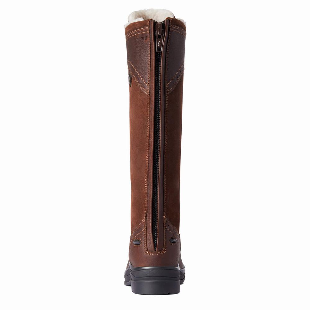 Women's Ariat Wythburn Tall Waterproof English Riding Boots Dark Brown | GB5718BIH