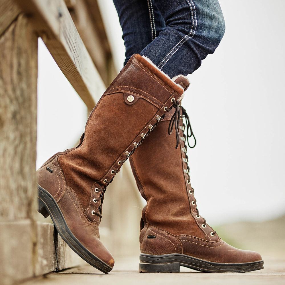 Women's Ariat Wythburn Tall Waterproof English Riding Boots Dark Brown | GB5718BIH